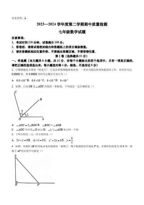 山东省潍坊市潍城区2023-2024学年七年级下学期期中数学试题(含答案)