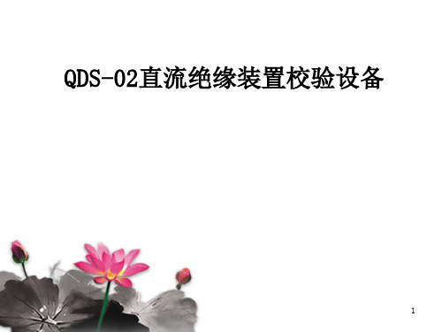 QDS-02直流绝缘装置校