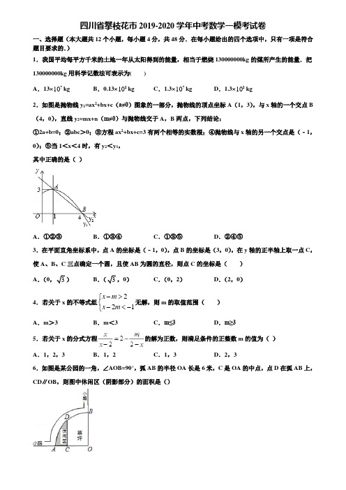四川省攀枝花市2019-2020学年中考数学一模考试卷含解析