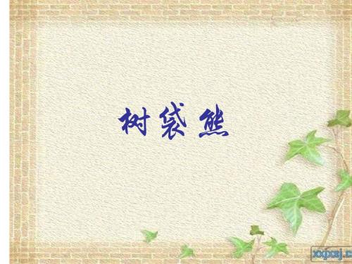 树袋熊