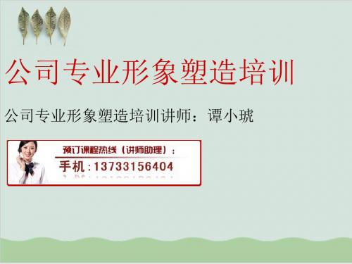 公司专业形象塑造培训PPT课件( 77页)