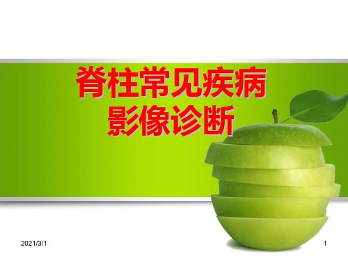 针刀高级研修班第四讲PPT精品课件