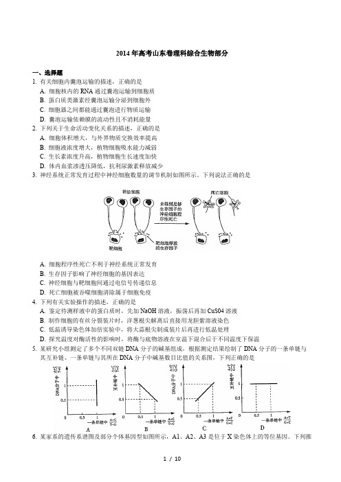 2014山东高考真题生物(含解析)