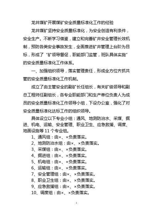 龙井煤矿开展煤矿安全质量标准化工作的主要做法和经验
