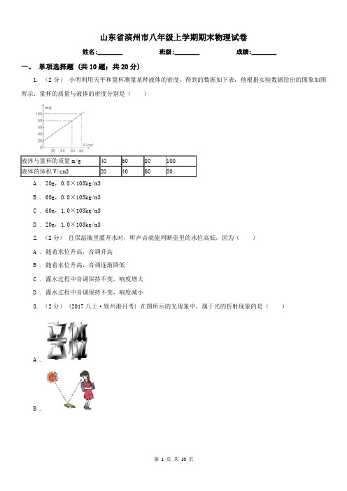 山东省滨州市八年级上学期期末物理试卷