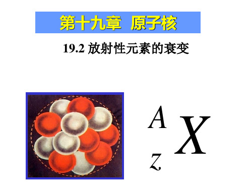 精品――高中物理 人教版选修35 192放射性元素的衰变PPT课件