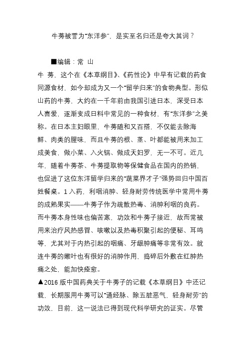 牛蒡被誉为“东洋参”,是实至名归还是夸大其词？