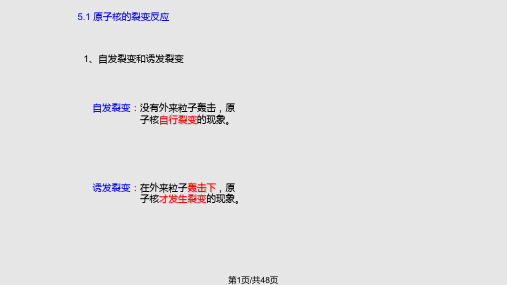 核裂变与核聚变PPT课件