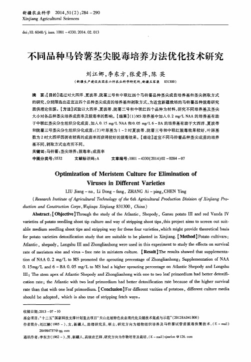 不同品种马铃薯茎尖脱毒培养方法优化技术研究