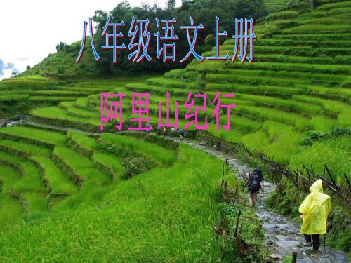 学八年级语文上册18《阿里山纪行》课件苏教版