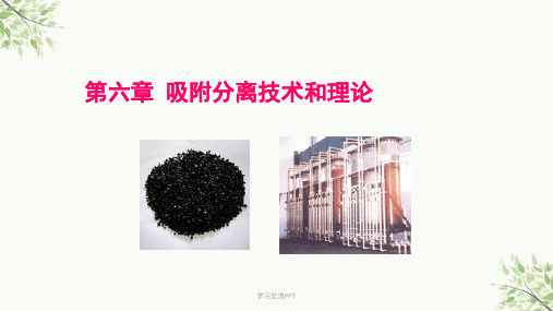 第六章吸附分离课件