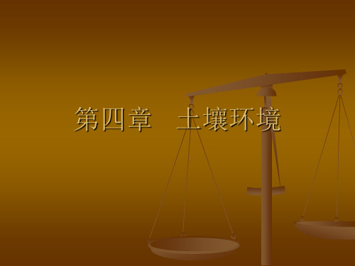 环境学概论第四章土壤环境.