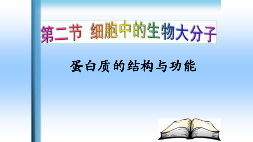 苏教版生物必修一第二章第二节 蛋白质的结构与功能 (共29张PPT)
