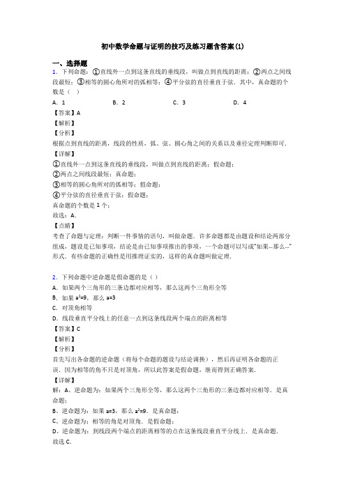 初中数学命题与证明的技巧及练习题含答案(1)
