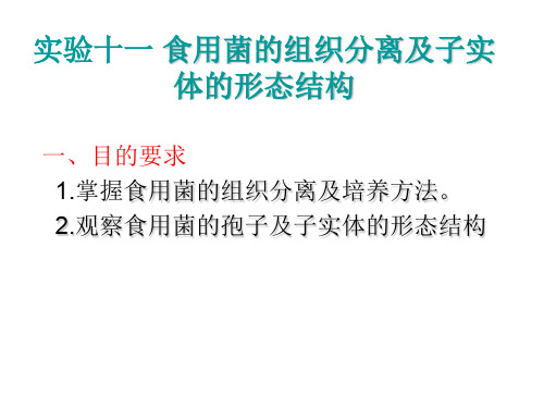 微生物食用菌的组织培养