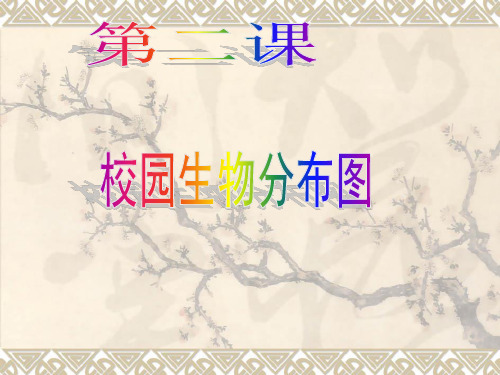 六年级上册第四单元第二课 校园生物分布图 课件