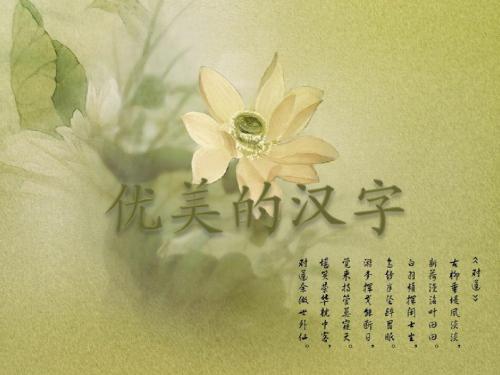 优美的汉字