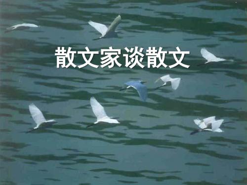 《散文家谈散文》PPT教学课件