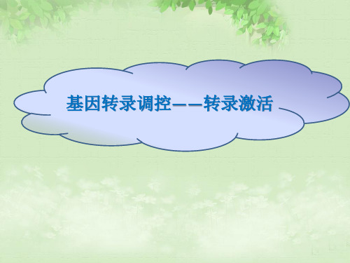 基因表达转录水平调控-转录激活