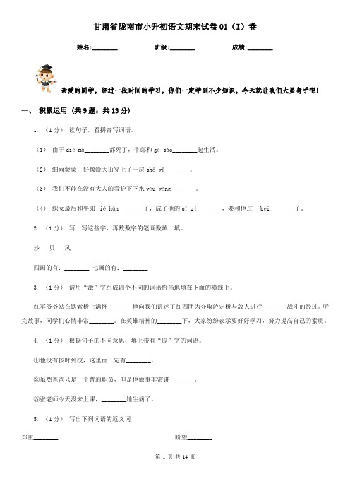 甘肃省陇南市小升初语文期末试卷01(I)卷