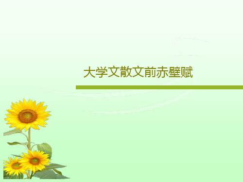 大学文散文前赤壁赋共20页