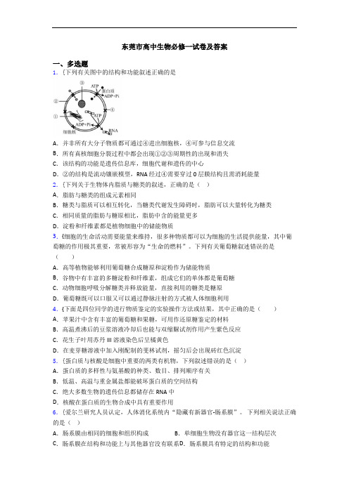 东莞市高中生物必修一试卷及答案