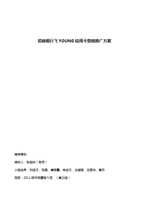 飞YOUNG营销推广方案