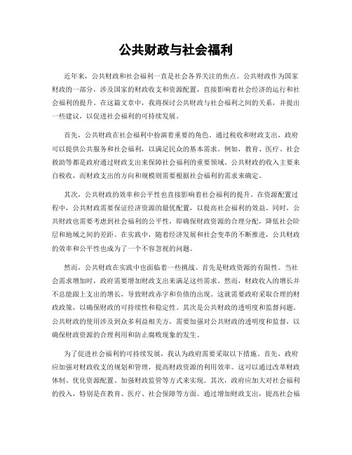 公共财政与社会福利