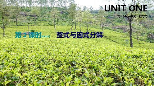 中考数学总复习 第一单元 数与式 第02课时 整式与因式分解课件