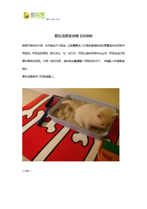 爱乐活居家攻略222300