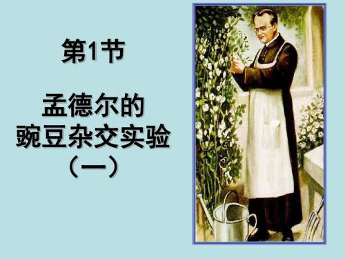 1孟德尔豌豆杂交实验一