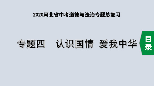 2020河北省中考道德与法治专题总复习：专题四 认识国情 爱我中华  主题15 科教兴国,创新发展