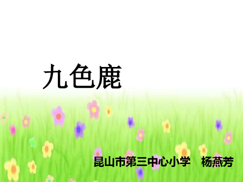 《九色鹿》优质课PPT课件 公开课获奖课件