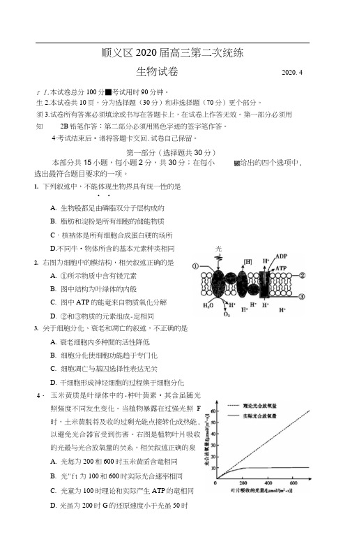 2020年北京市顺义区高三二模生物试卷(含答案和解析)