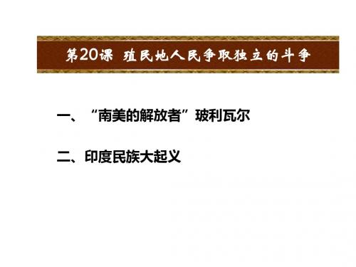 九年级历史上册新中华书局版课件：第20课 殖民地人民争取独立的斗教学课件