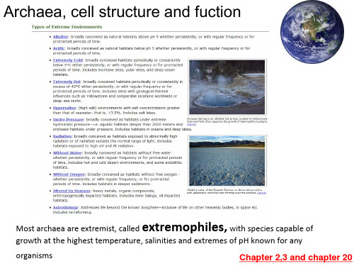 微生物及实验(双语)Lecture 3-1 (arachae and fungi)