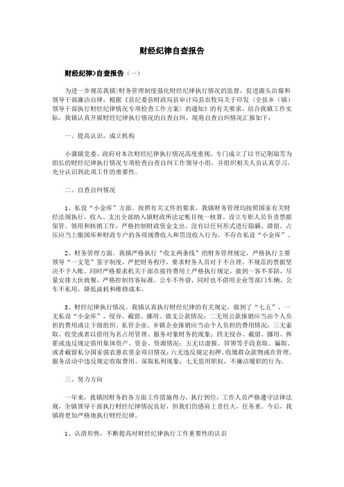 财经纪律自查报告
