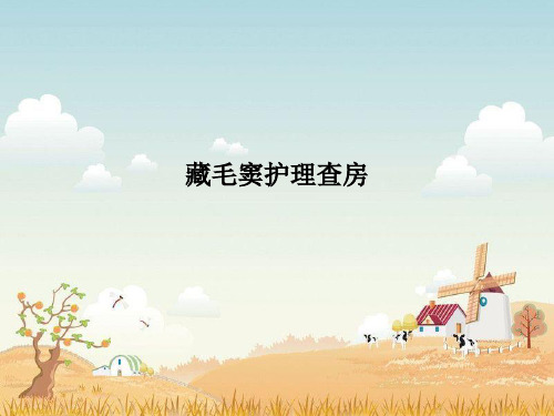 藏毛窦护理查房