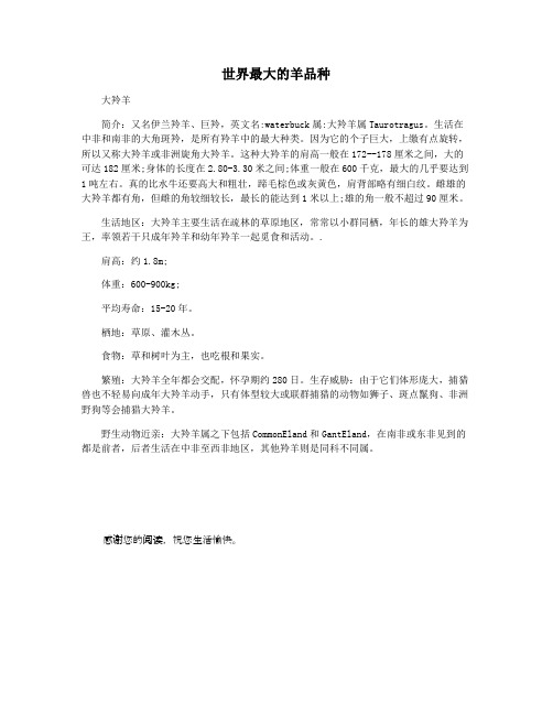 世界最大的羊品种