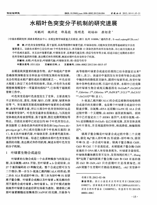 水稻叶色突变分子机制的研究进展