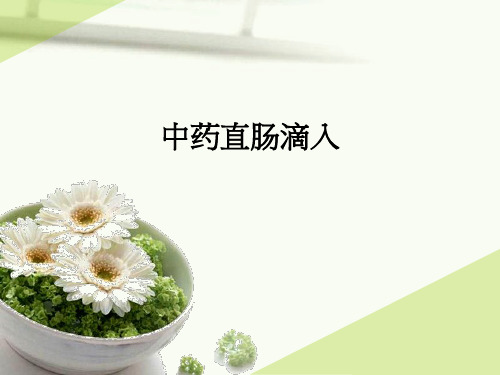 中药直肠滴入ppt课件