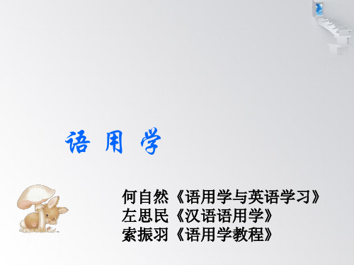 语用修辞学—对外汉语