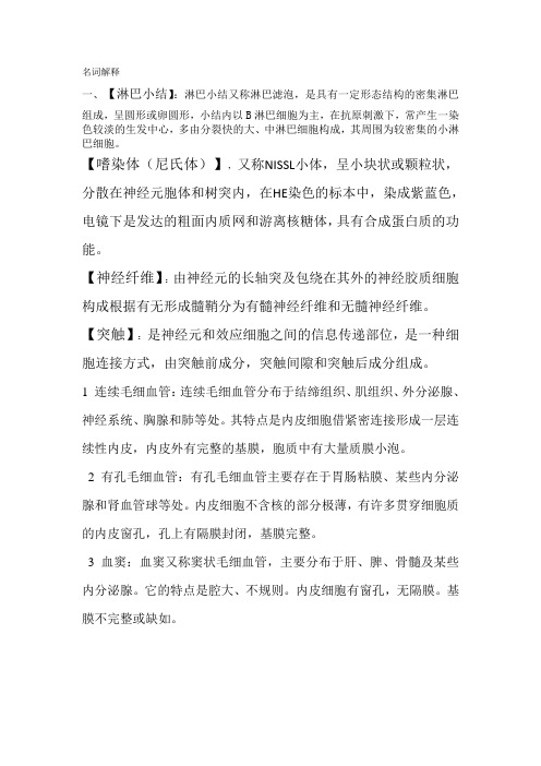 名词解释