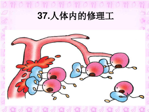 《人体内的“修理工”》(沪教版二年级语文上册)精品PPT教学课件