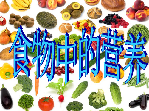 四年级下册科学课件-3.2  食物中的营养 ｜教科版 (共23张PPT)