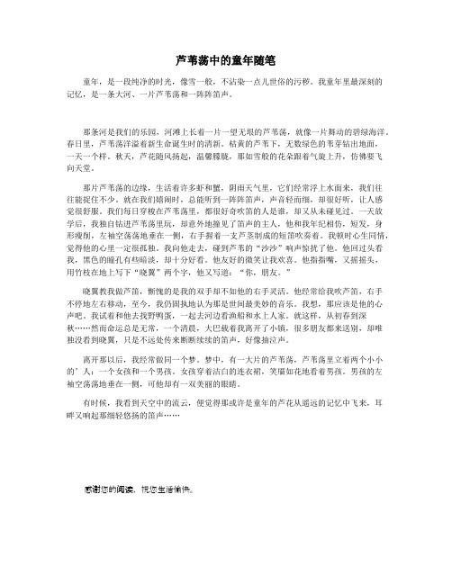 芦苇荡中的童年随笔