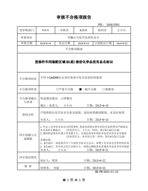 审核不合格项报告(CSR)