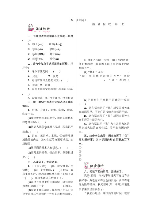 六年级上册语文试题-第八单元一课一练24.少年闰土  人教(部编版) 含答案
