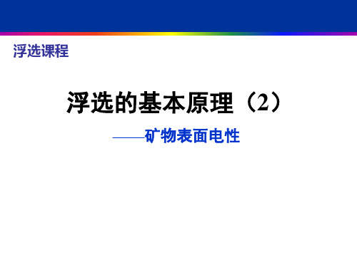 矿物浮选第3章浮选的基本原理(2)