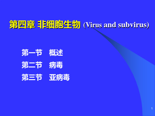 C 第四章 非细胞生物 微生物课件